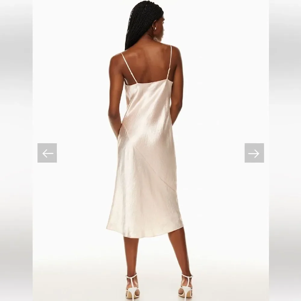Aritzia Babaton Model Satin Pink Satin Slip Dress